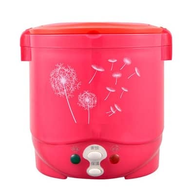 DMWD MINI rice cooker 1L portable electric Lunch Box heating steamer cabinet Food Container travel offce home 110V 220V EU US